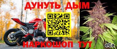 стафф Новозыбков