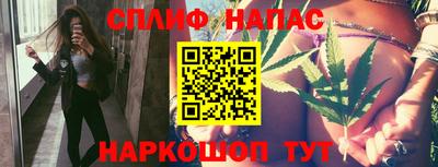 стафф Новозыбков