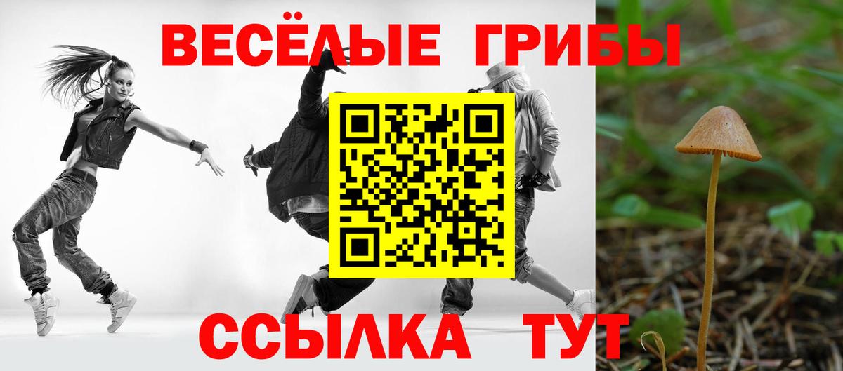 Псилоцибиновые грибы прущие грибы  Вход с VPN  Псилоцибиновые грибы Cubensis  Уварово 