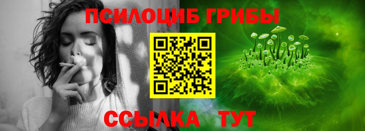 Галлюциногенные грибы Cubensis Уварово
